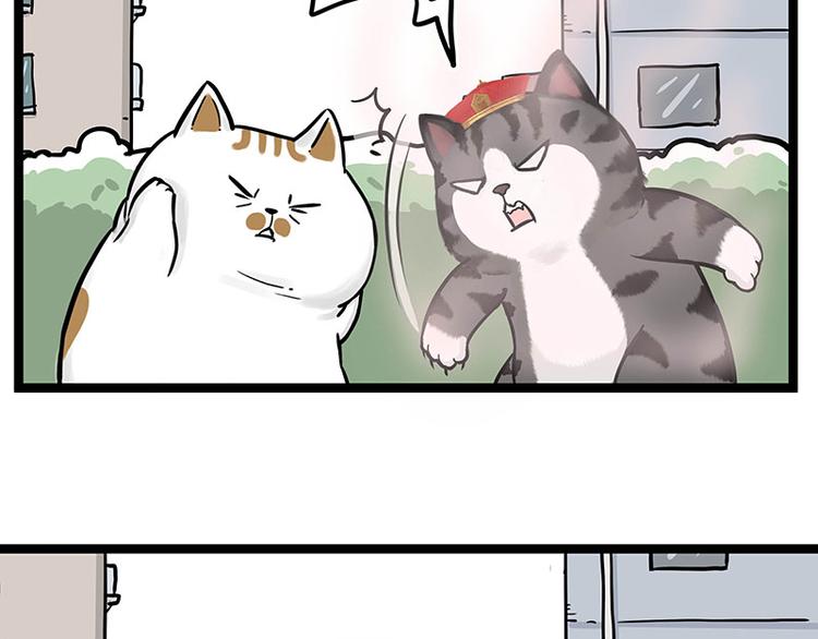 吾皇巴扎黑漫画,第284话 美喵竟是我自己1图