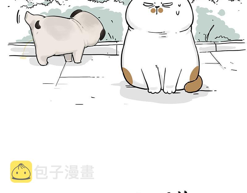吾皇巴扎黑漫画,第317话 社交密码2图