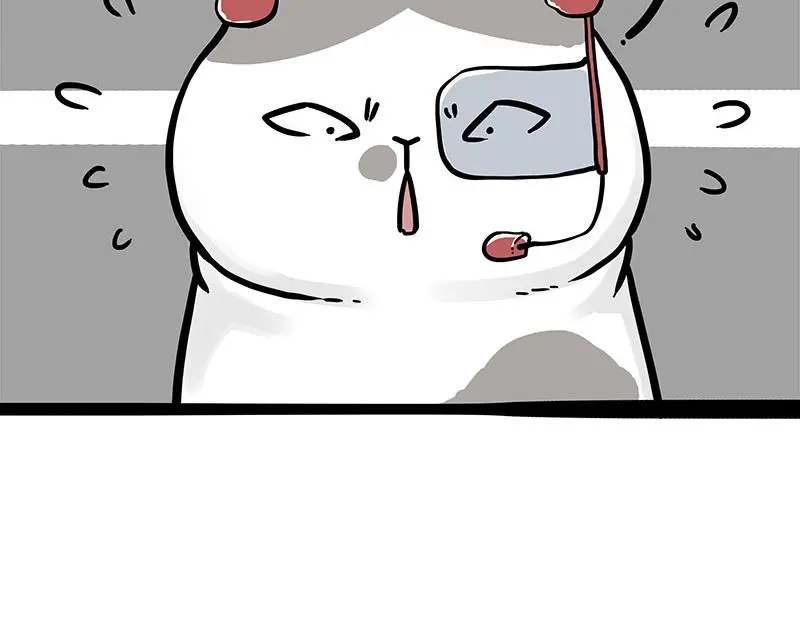 吾皇巴扎黑漫画,第326话 学好航天，接喵回家2图