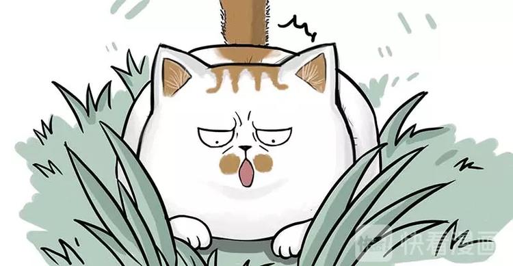 吾皇巴扎黑漫画全集漫画,第159话 傲霸日常（二）1图