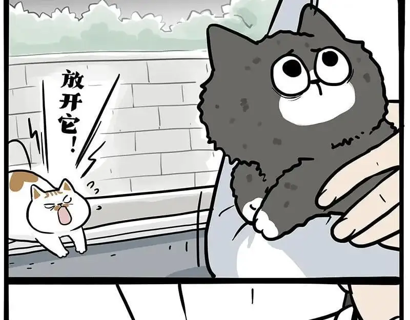 吾皇巴扎黑漫画,第402话 送走！所有！1图