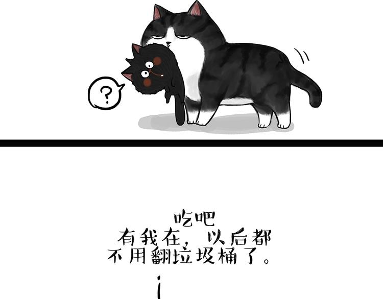 吾皇巴扎黑漫画,第50话 你的身边有我在2图