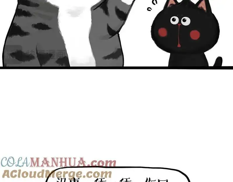 吾皇巴扎黑漫画全集漫画,第405话 猫好狗好，人坏1图