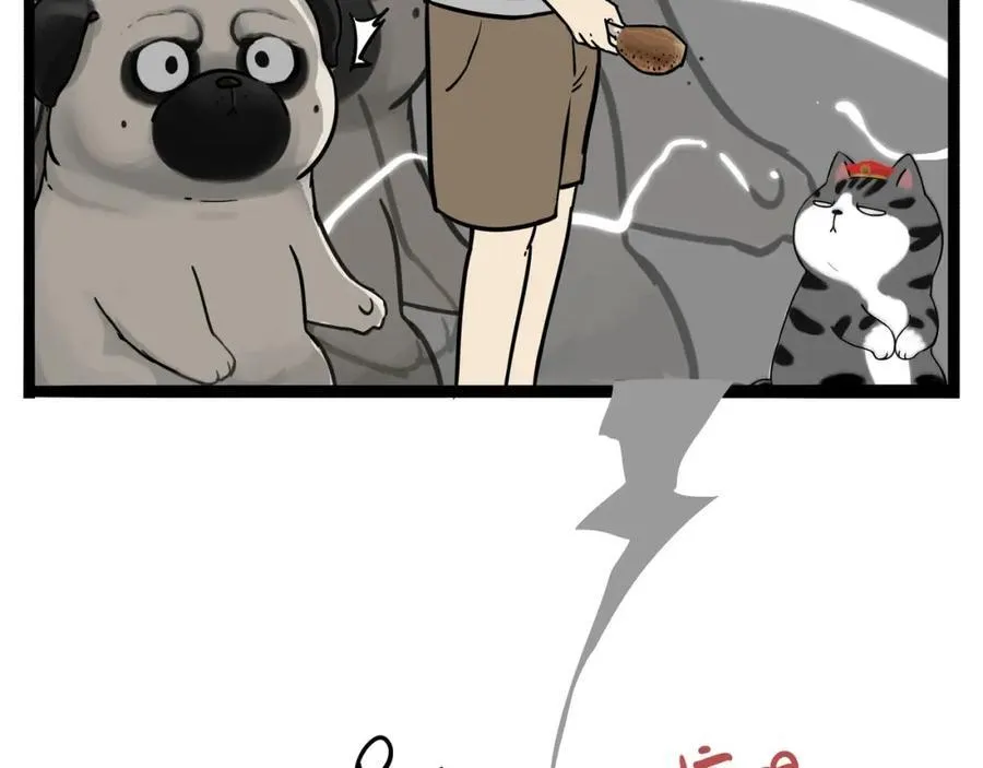 吾皇巴扎黑漫画,第411话 有人欢喜有人忧2图