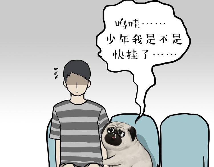 吾皇巴扎黑漫画,第79话 带宠物看病（下）2图