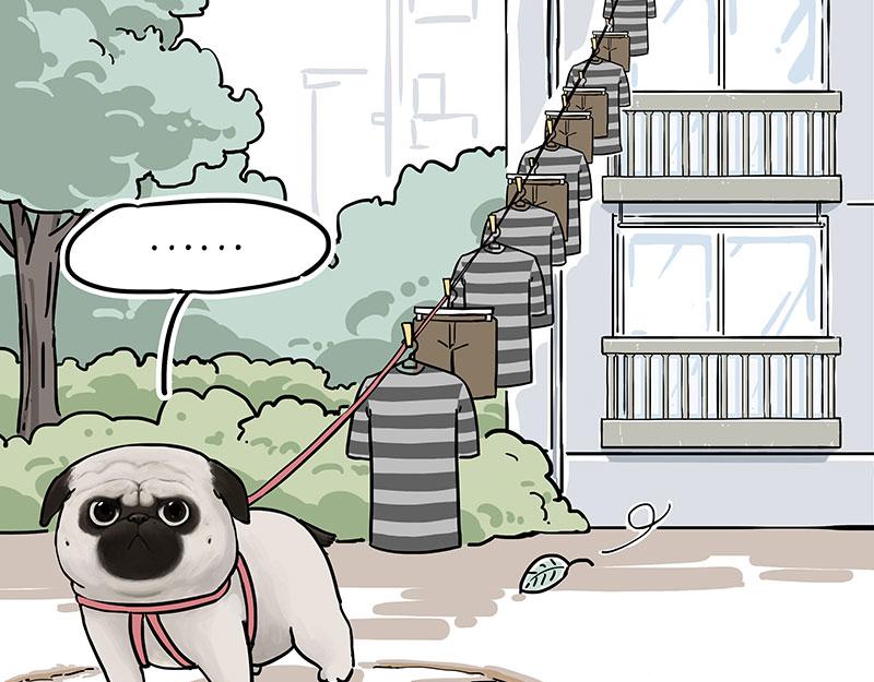 吾皇巴扎黑漫画,第305话 白表白了1图