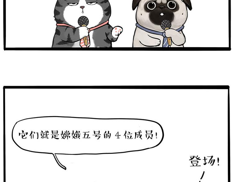 吾皇巴扎黑漫画,第245话 真上天了2图