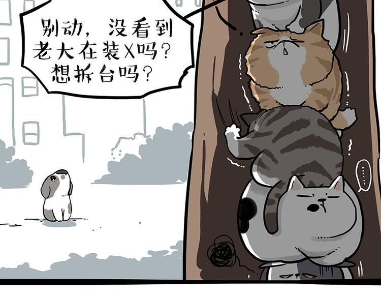 吾皇巴扎黑漫画,第270话 胖老猫你个大骗子！2图