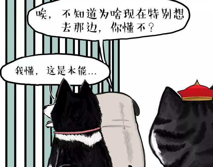 吾皇巴扎黑漫画,第93话 越狱1图
