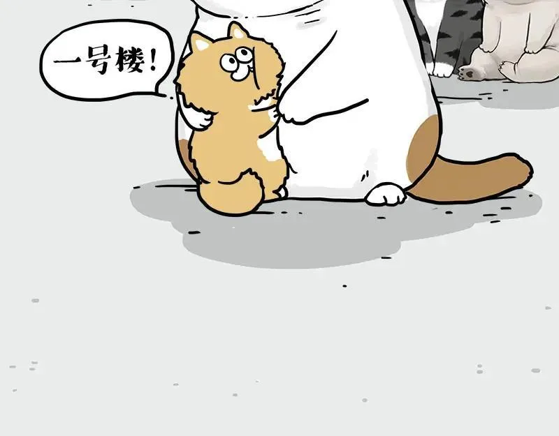 吾皇巴扎黑漫画全集漫画,第410话 感情线大进展2图
