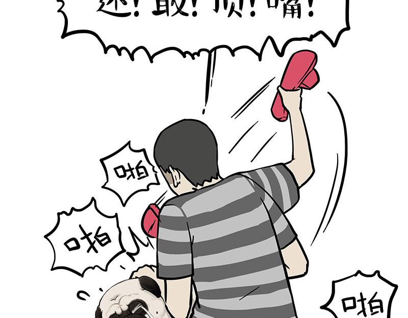 吾皇巴扎黑漫画,第344话 人生止痛剂1图