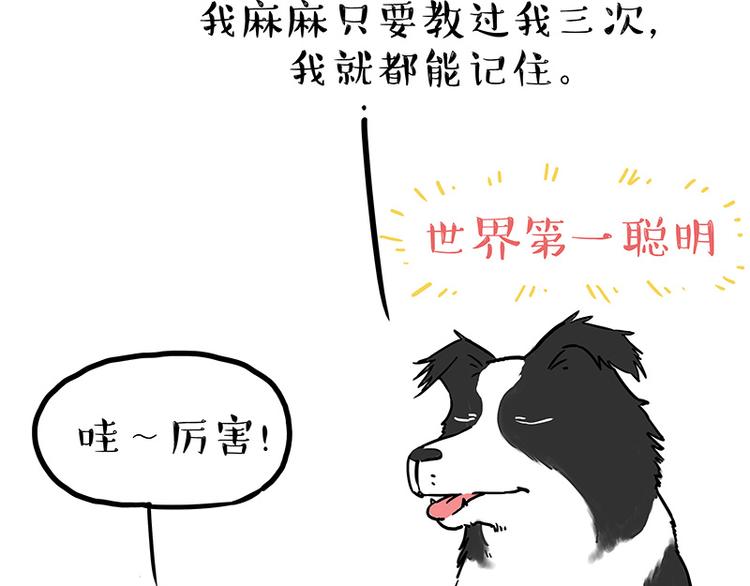 吾皇巴扎黑漫画,第207话 巴扎黑丢了？！1图
