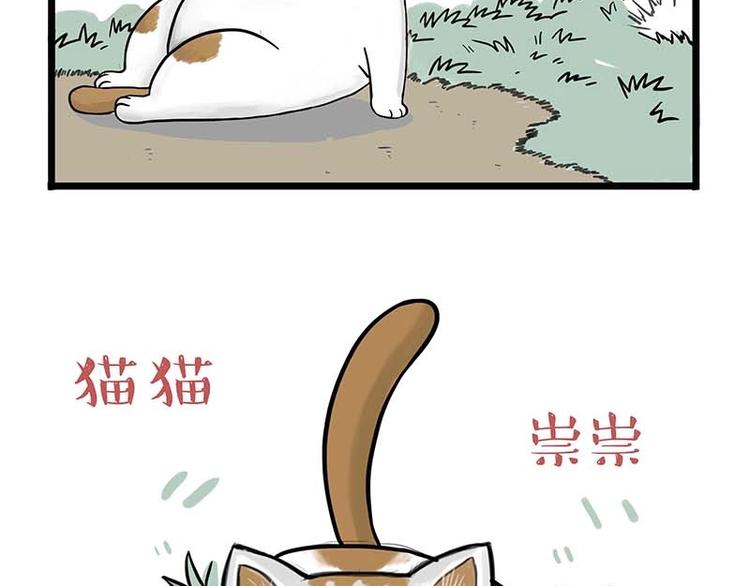 吾皇巴扎黑漫画全集漫画,第159话 傲霸日常（二）1图