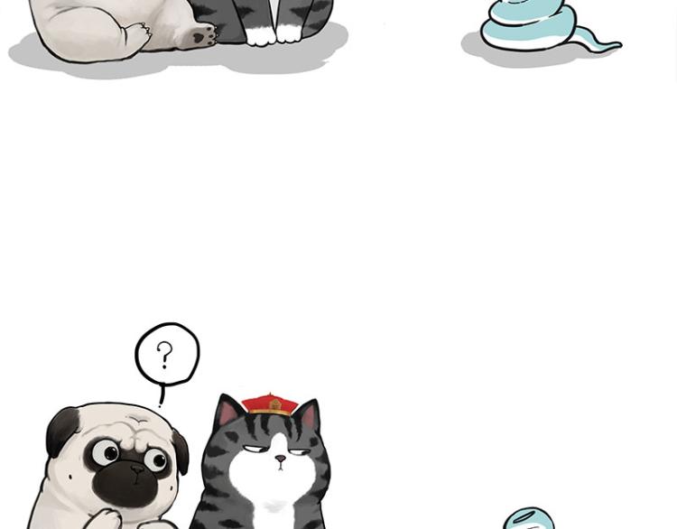 吾皇巴扎黑漫画,第286话 动物世界1图