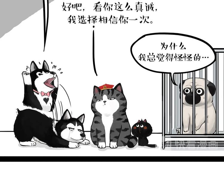 吾皇巴扎黑漫画,第202话 谁动了吾皇的猫粮2图