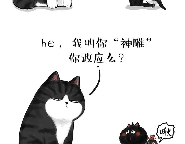 吾皇巴扎黑漫画,第53话 宠物的压力2图