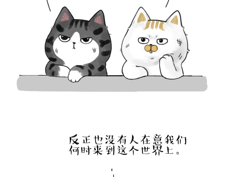 吾皇巴扎黑漫画,第185话 好兄弟！2图