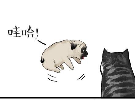 吾皇巴扎黑漫画,第23话 这是巴扎黑的专场！1图
