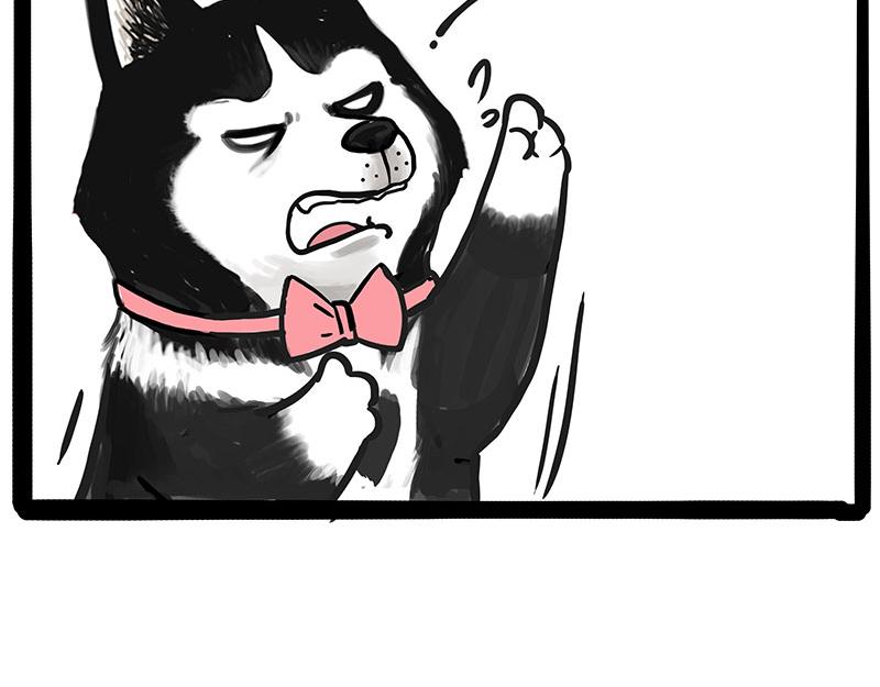 吾皇巴扎黑牛能漫画,第347话 八百个心眼子2图