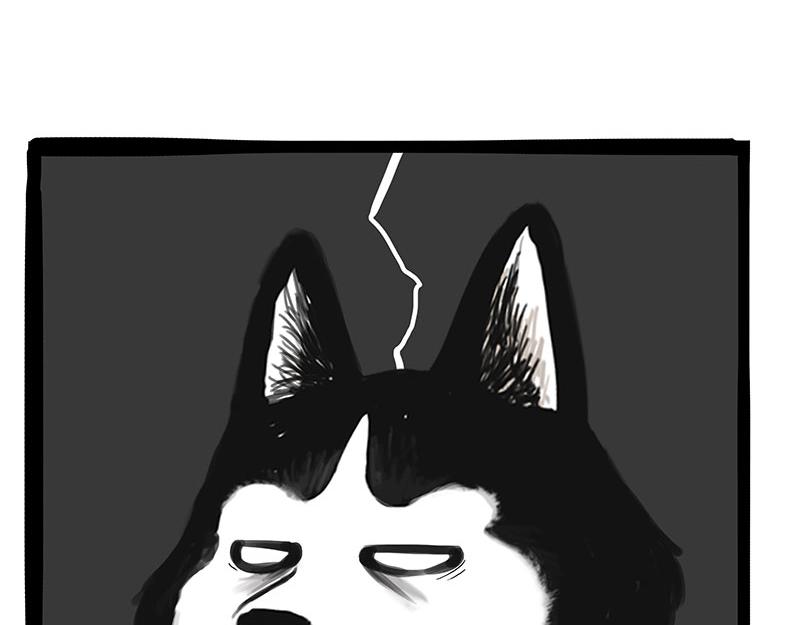 吾皇巴扎黑漫画,第358话 都是错觉2图