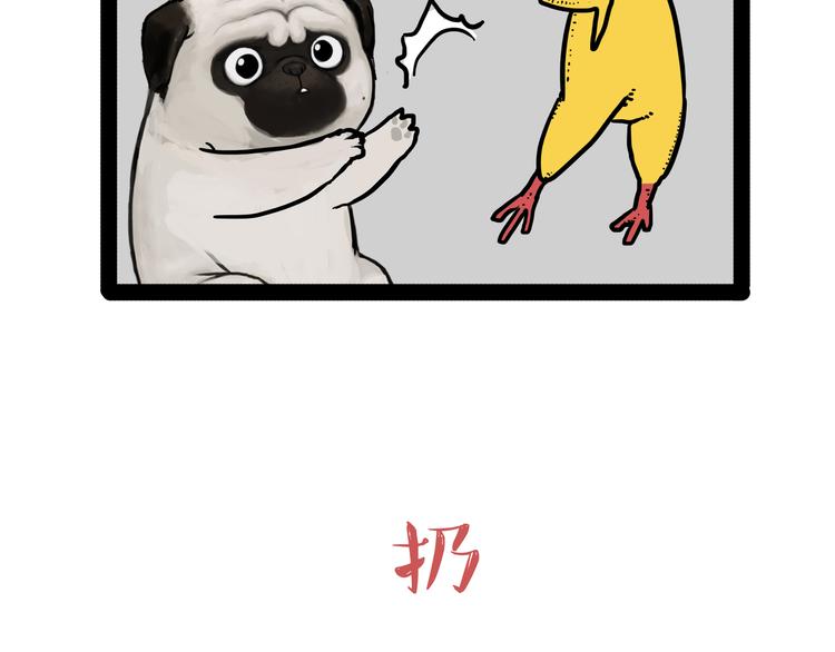 吾皇巴扎黑漫画,第145话 鸡犬不宁1图