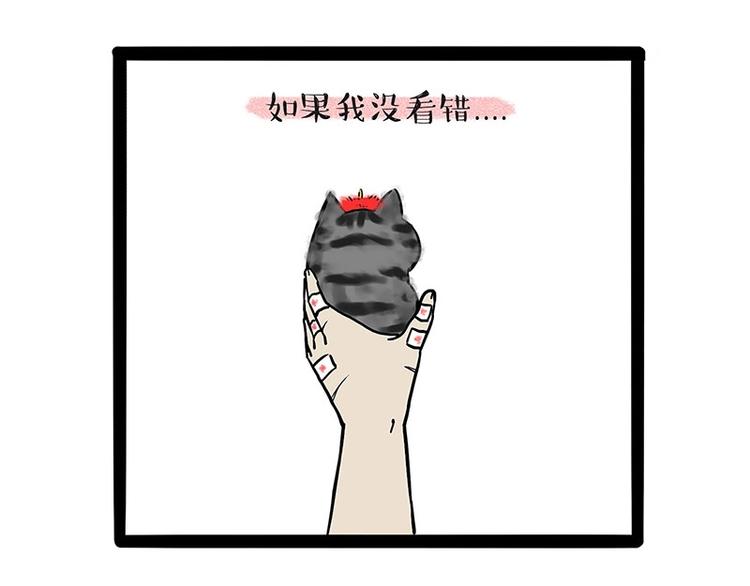 吾皇巴扎黑漫画,第188话 收破烂也不收你礼物2图