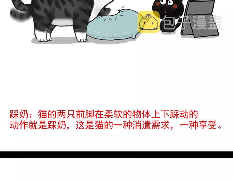 吾皇巴扎黑漫画全集漫画,第95话 一辈子在一起2图
