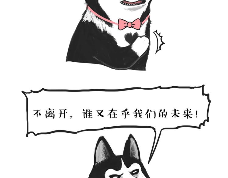 吾皇巴扎黑漫画,第116话 离家出走1图