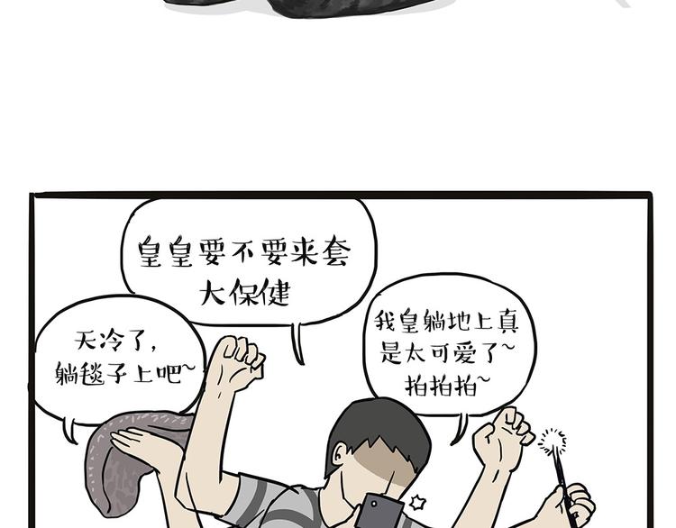 吾皇巴扎黑漫画,第44话 日常坑狗，却猫前屈膝2图