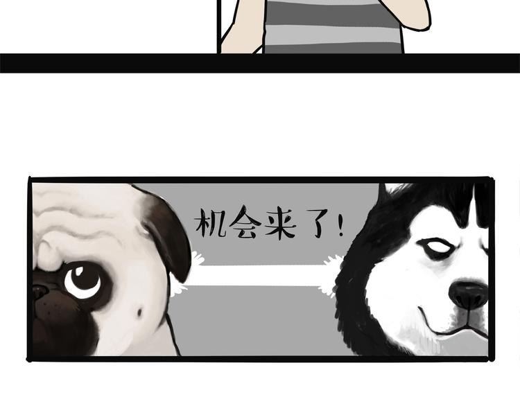 吾皇巴扎黑漫画,第139话 作者的死角1图