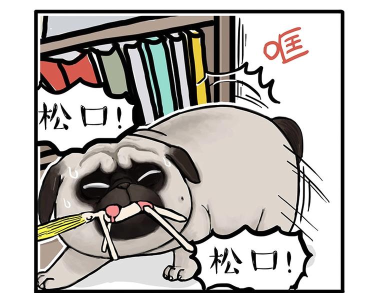 吾皇巴扎黑漫画,第160话 最差的一届哈士奇！1图