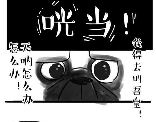 吾皇巴扎黑漫画,第20话 蜜汁少年！1图