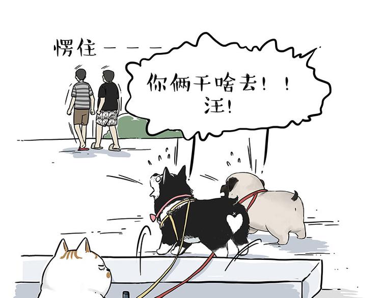 吾皇巴扎黑超话漫画,第223话 狗知识增加了1图