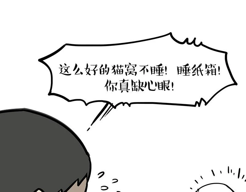 吾皇巴扎黑漫画,第364话 万一呢？2图