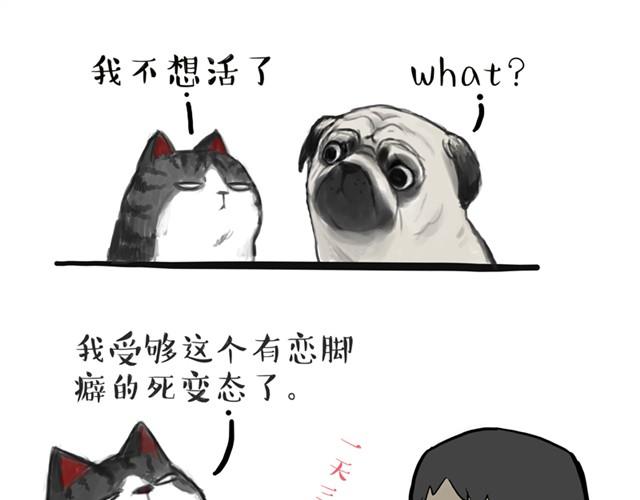 吾皇巴扎黑漫画全集漫画,第13话 不想理这个恋脚癖1图