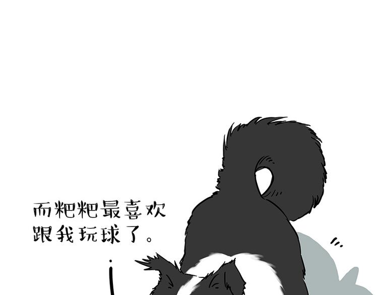 吾皇巴扎黑漫画,第207话 巴扎黑丢了？！1图