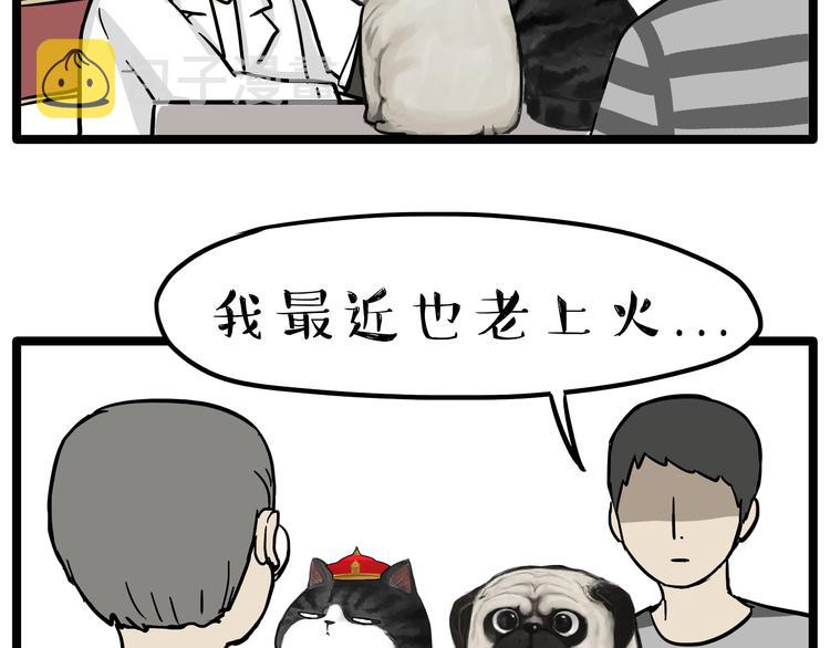 吾皇巴扎黑漫画,第79话 带宠物看病（下）2图