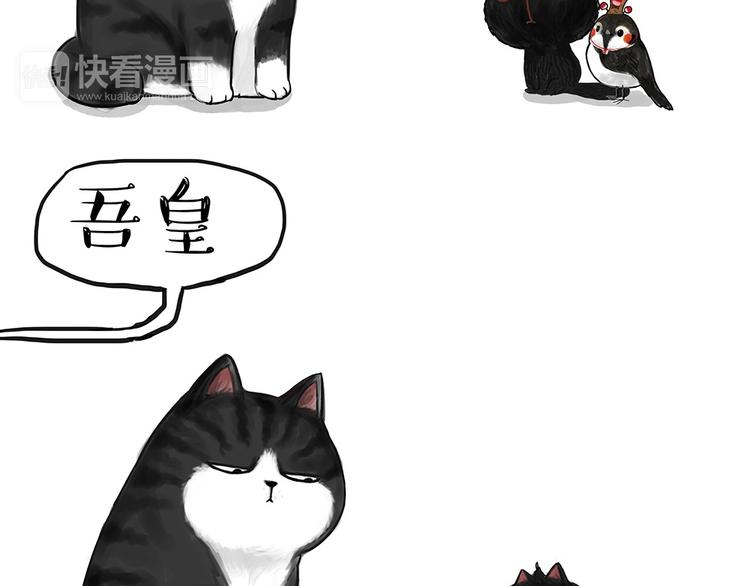 吾皇巴扎黑漫画,第53话 宠物的压力2图