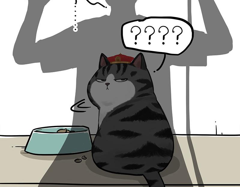 吾皇巴扎黑漫画,第296话 披着虎皮的猫1图
