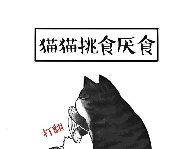 吾皇巴扎黑漫画,第51话 猫和狗的待遇就是不同2图