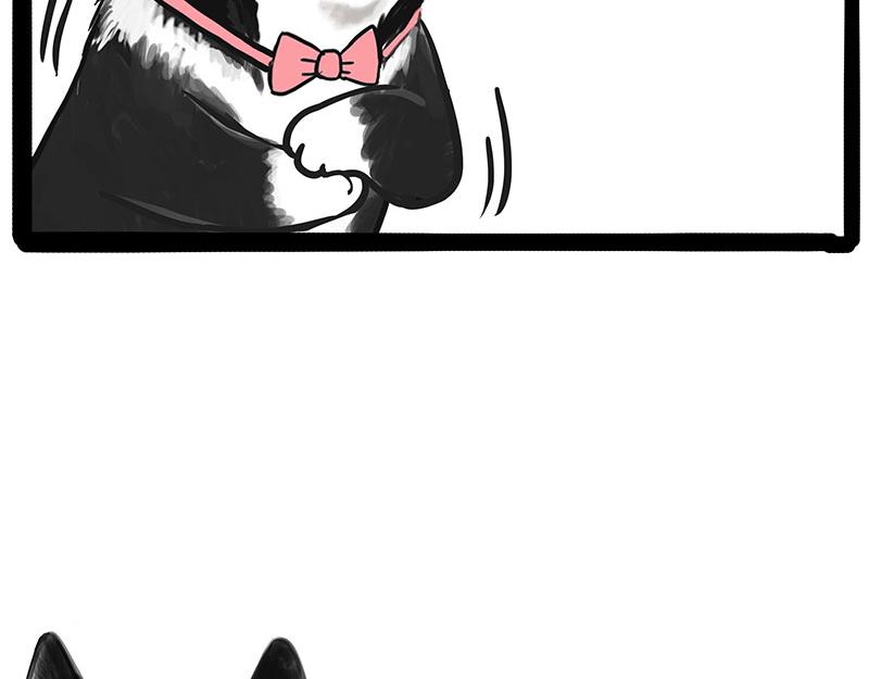 吾皇巴扎黑漫画,第347话 八百个心眼子1图