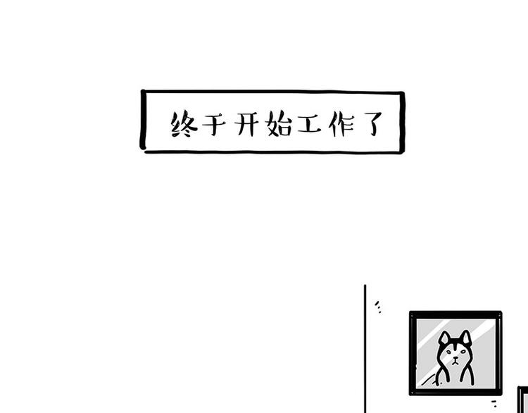 吾皇巴扎黑漫画,第194话 生活不易，猫狗打工2图