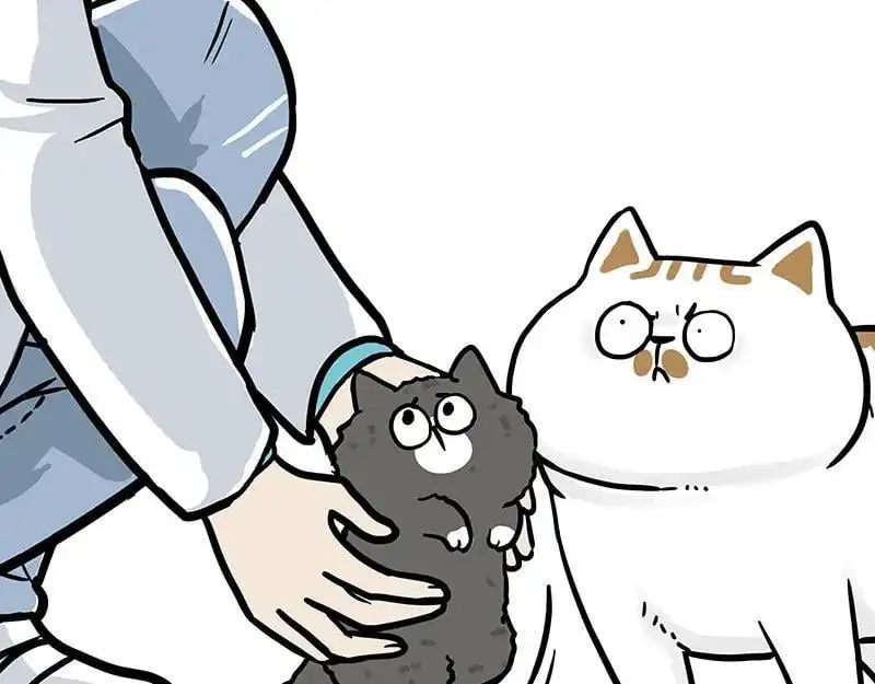 吾皇巴扎黑漫画,第402话 送走！所有！2图
