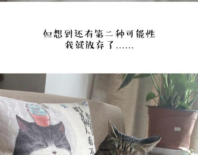 吾皇巴扎黑漫画全集漫画,第14话 缩小后最容易遇见什么1图