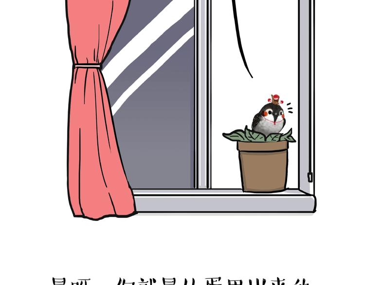 吾皇巴扎黑漫画,第157话 一颗蛋蛋1图