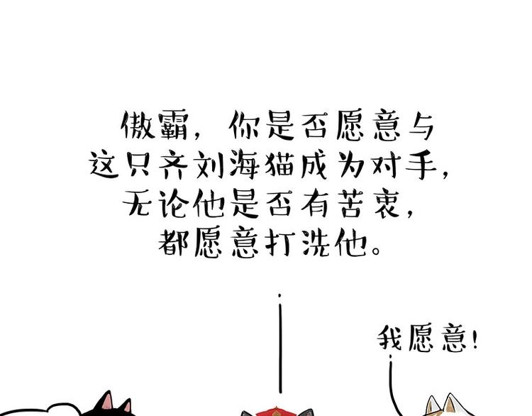 吾皇巴扎黑漫画,第167话 猫王争霸赛1图
