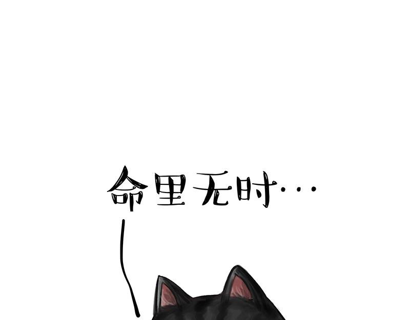吾皇巴扎黑漫画,第349话 养只猫吧1图
