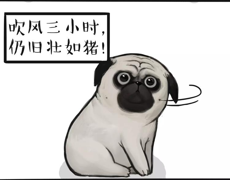 吾皇巴扎黑漫画,第100话 生病的烦恼2图