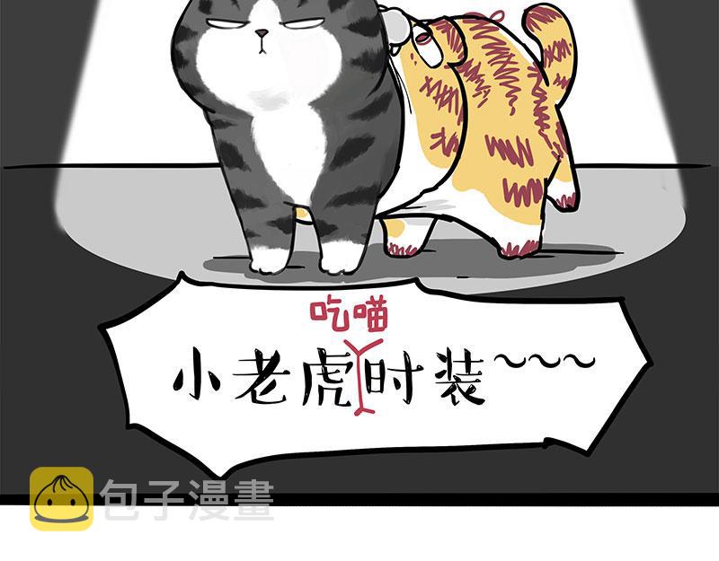 吾皇巴扎黑漫画,第296话 披着虎皮的猫1图