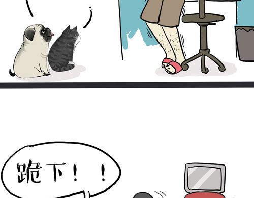 吾皇巴扎黑漫画,第30话 能运功的喵星人1图